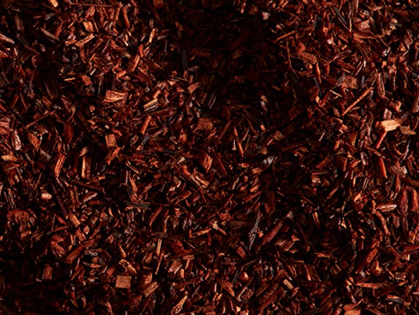 Rooibos