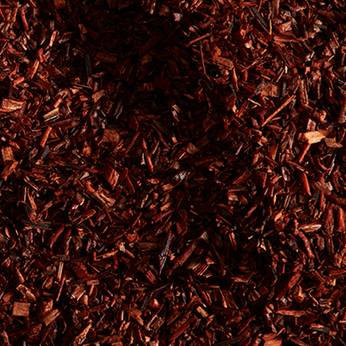 Gros plan d'extrait de rooibos naturellement fermenté, l’un des ingrédients clés contenus dans les produits weDo/