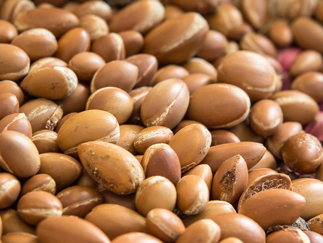  Close up of argan seeds, one of the hero ingredients in weDo's products