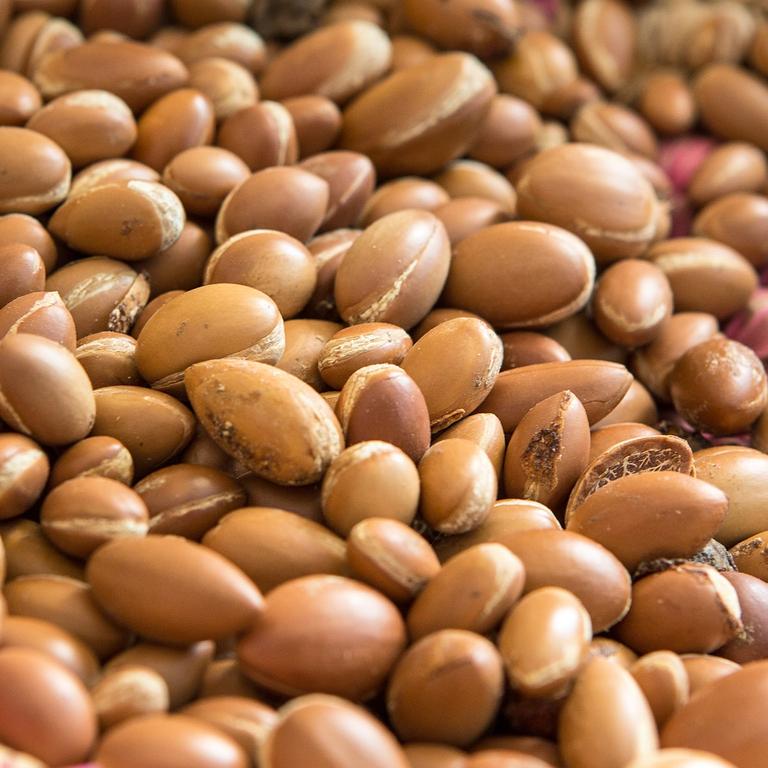  Close up of argan seeds, one of the hero ingredients in weDo's products