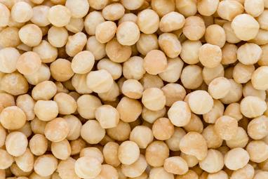 Close up shot of macadamia nut one of weDo/ Professional's hero product ingredients